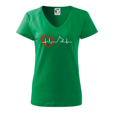 Nemecký ovčiak ekg