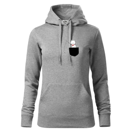 Mačka s rybou vo vrecku