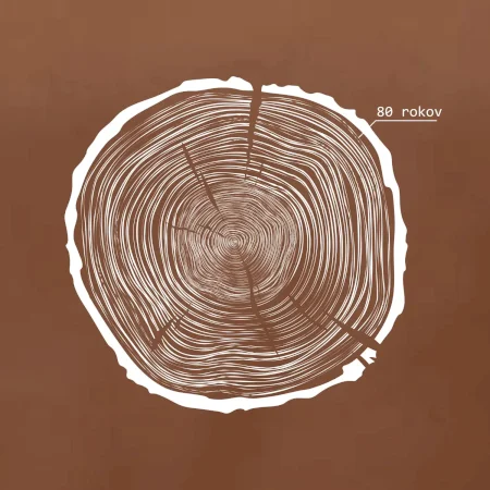 80 rokov - Letokruhy