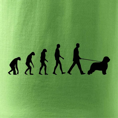 Evolúcia pes Briard