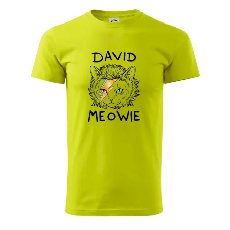 David Meowie