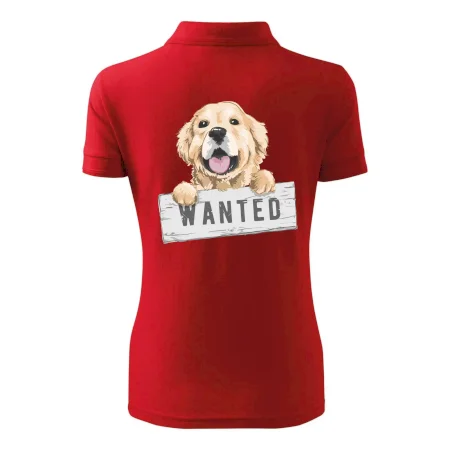 Zlatý retriever - šteniatko wanted