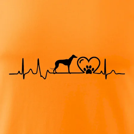 Chrt - Ekg