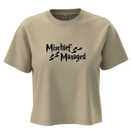 Harry - Mischief Managed