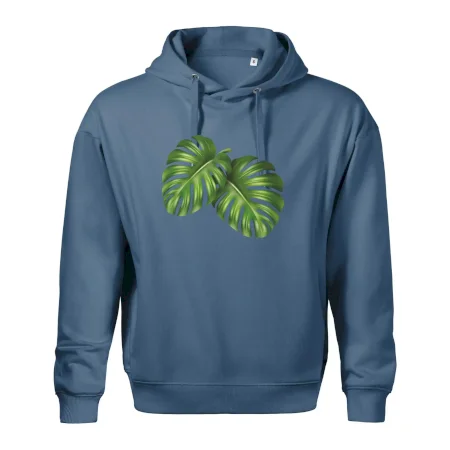 Monstera - dva listy