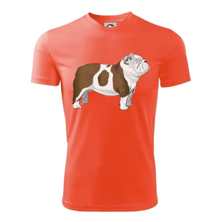 Vintage English bulldog