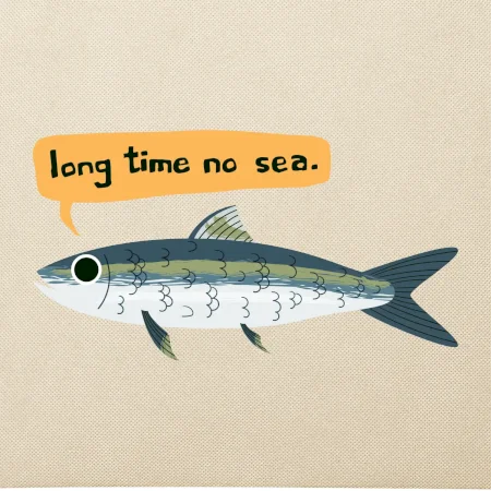 Long time no sea