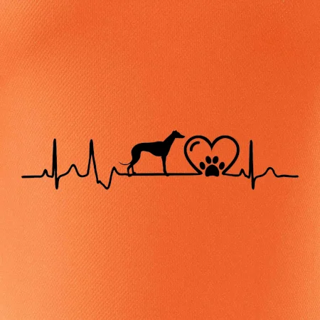 Chrt - Ekg