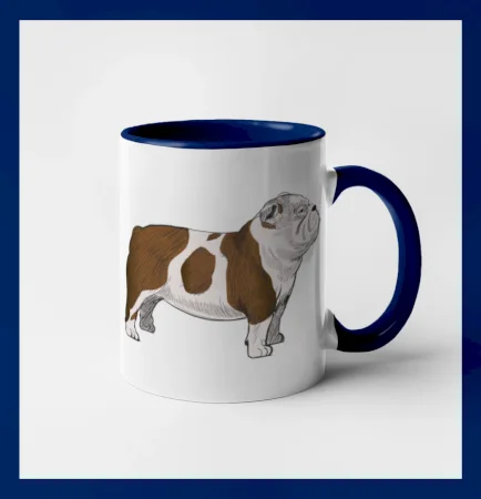 Vintage English bulldog
