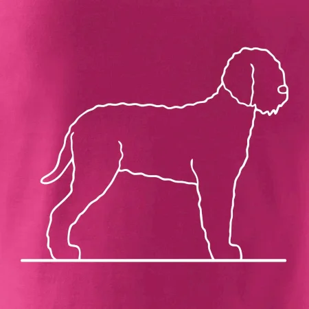 Lagotto romagnolo stojaci