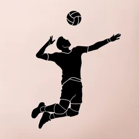 Volejbal náprah muž