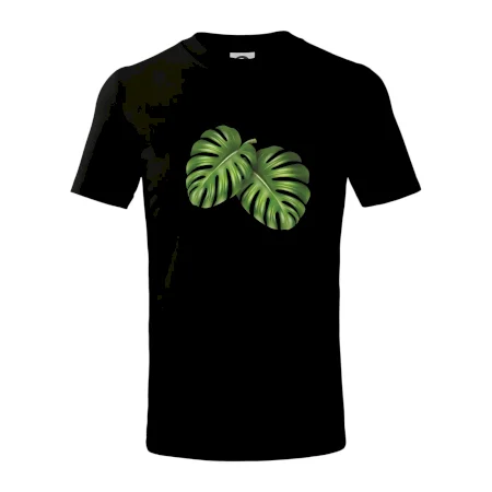 Monstera - dva listy