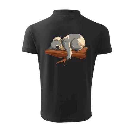 Koala na vetve