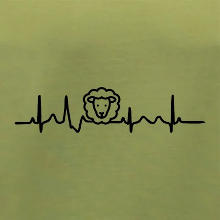 Ekg ovce