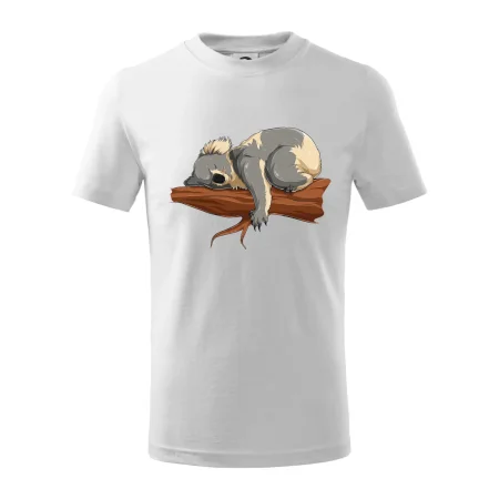 Koala na vetve