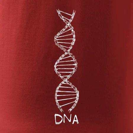 Cyklistovo DNA