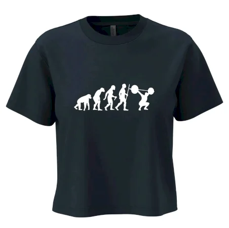 Evolution fitness
