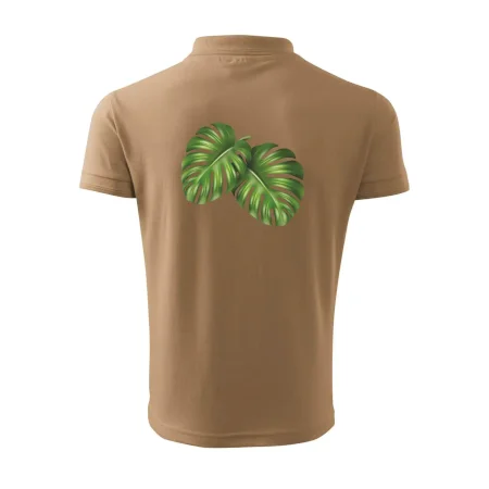 Monstera - dva listy