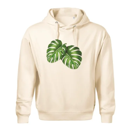 Monstera - dva listy