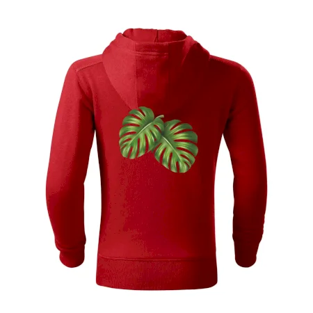 Monstera - dva listy