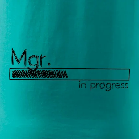 In progress titul Mgr. magister / magistra