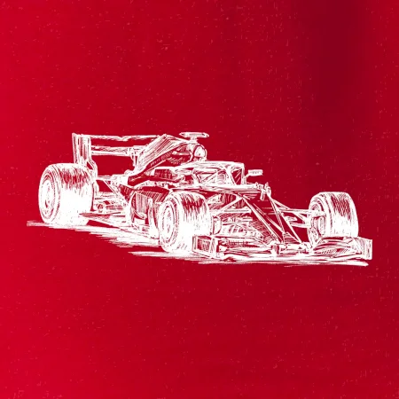 Formula v závode