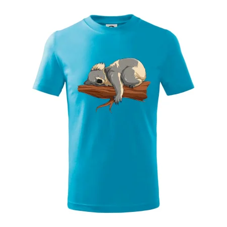 Koala na vetve