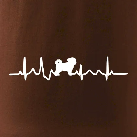 Havanský psík ekg