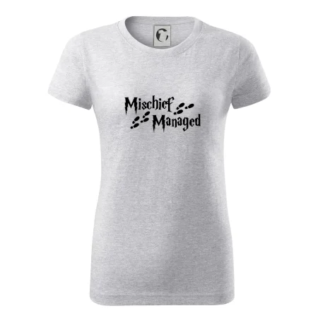 Harry - Mischief Managed