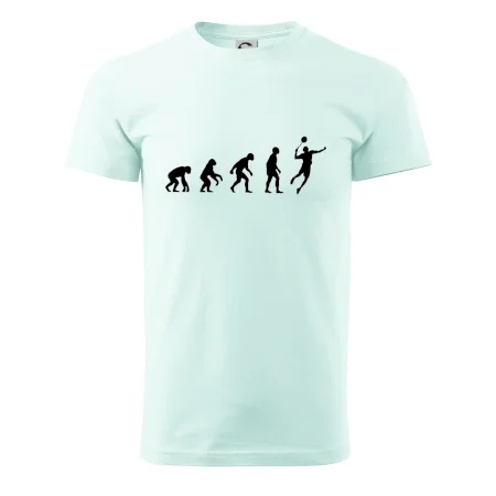 Evolúcia Bedminton