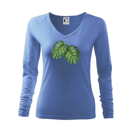 Monstera - dva listy