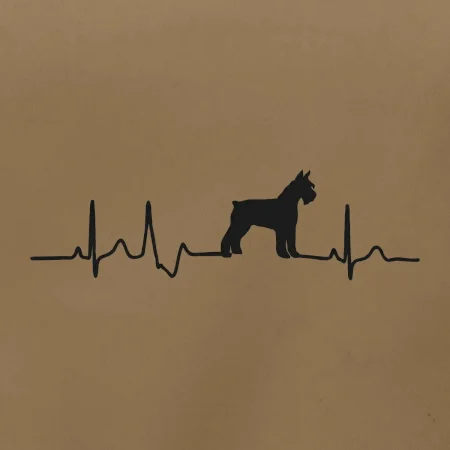 Ekg bradáč telo