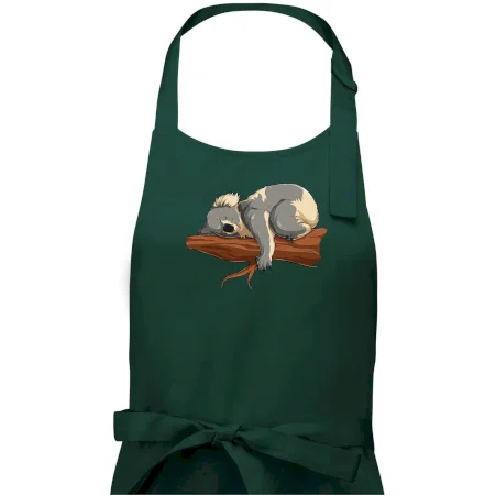 Koala na vetve