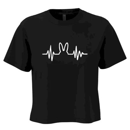 EKG zajac