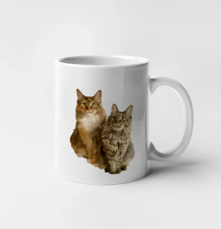 Mačky vectorizované (Moňas)