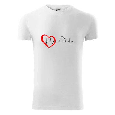 Nemecký ovčiak ekg
