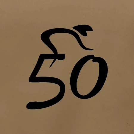 Cyklista oslavuje päťdesiatku (50)