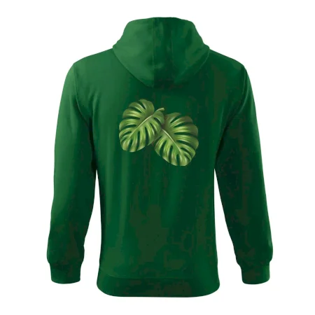 Monstera - dva listy