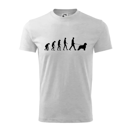 Evolúcia pes Briard