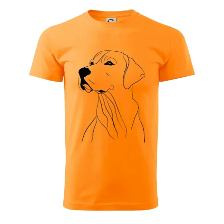 Labrador čierna kresba