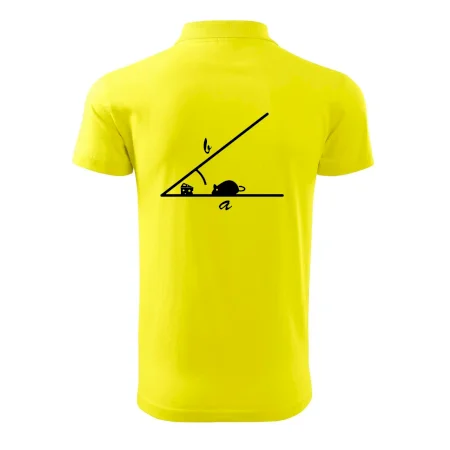 Matematická myš