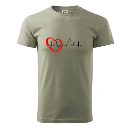 Nemecký ovčiak ekg