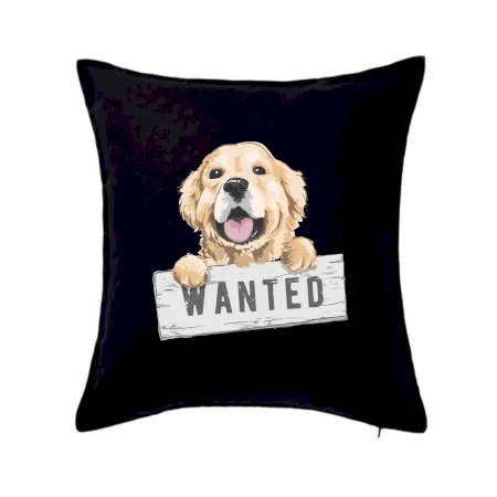 Zlatý retriever - šteniatko wanted