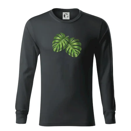 Monstera - dva listy
