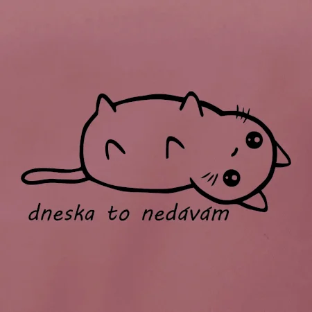 Dnes to nedávam