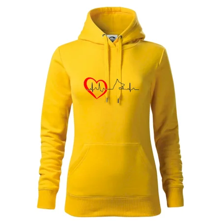 Nemecký ovčiak ekg