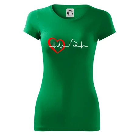 Nemecký ovčiak ekg