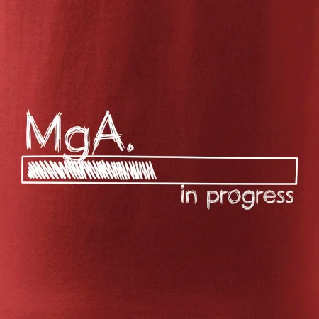 In progress titul MgA. magister / magistra umenia