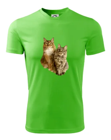Mačky vectorizované (Moňas)
