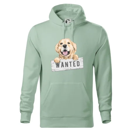 Zlatý retriever - šteniatko wanted